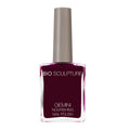 NO.200 BEAUTY OF PERFECTION NAIL POLISH