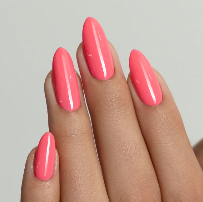 NO.341 - CORAL CRUSH