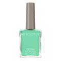 NO.206 ALL NIGHTER NAIL POLISH