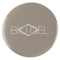 NO.294 - OYSTER SHELL