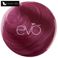 EDITH - EVO