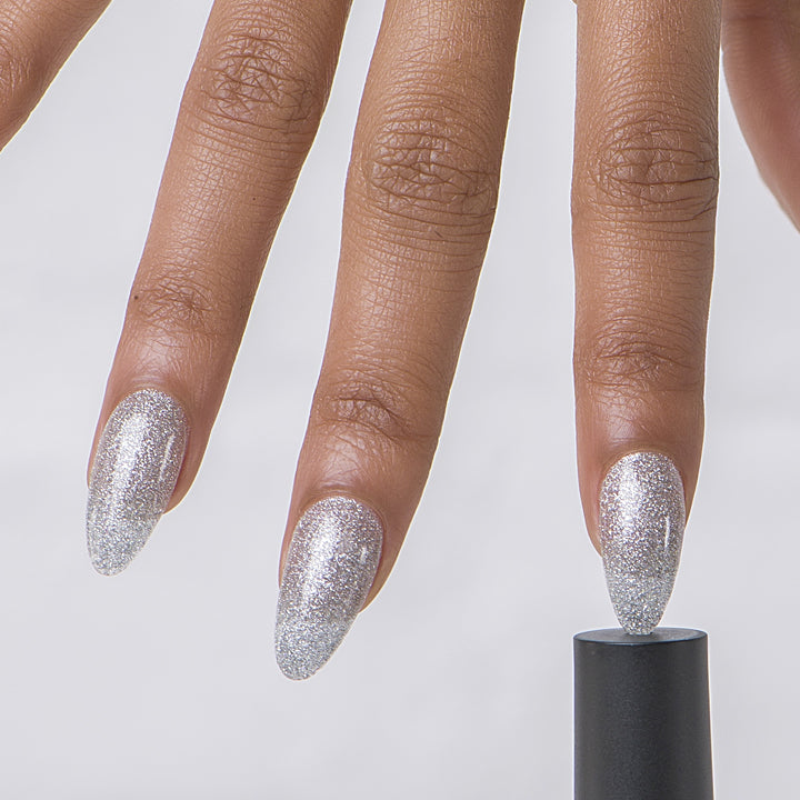 TIMELESS ELEGANCE COLLECTION - EVO